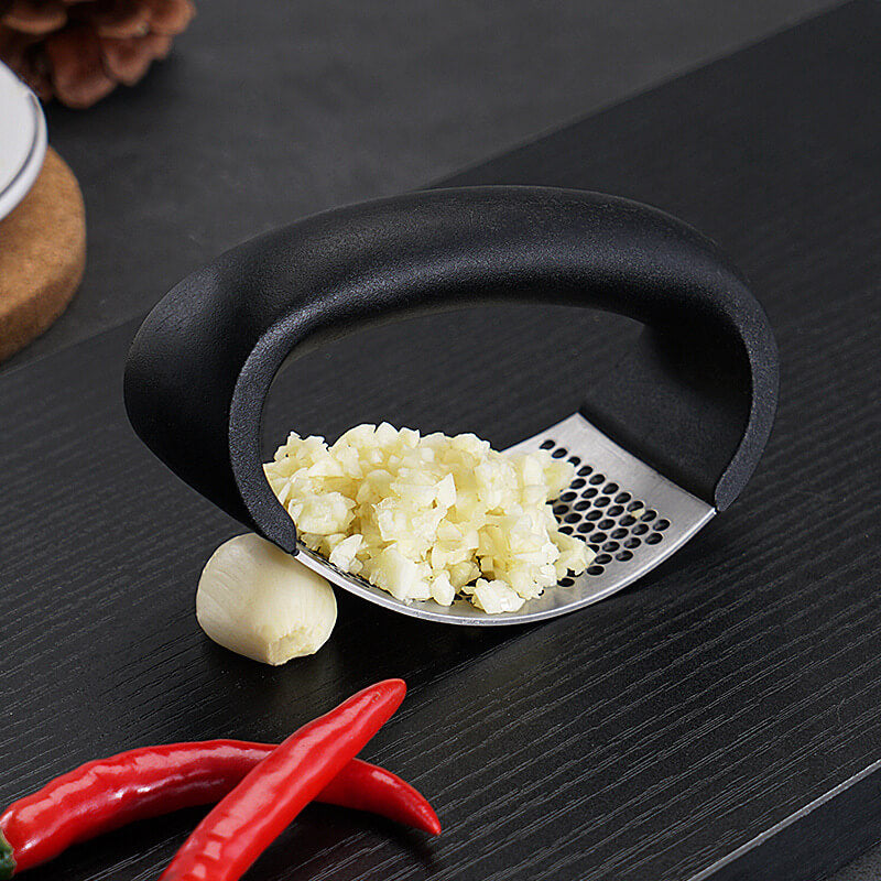 Stainless Steel Garlic Press